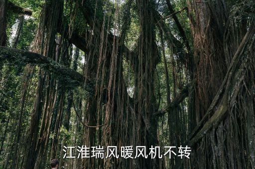 江淮瑞风暖风机不转