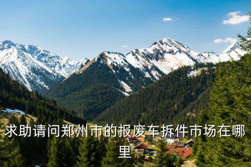 求助请问郑州市的报废车拆件市场在哪里