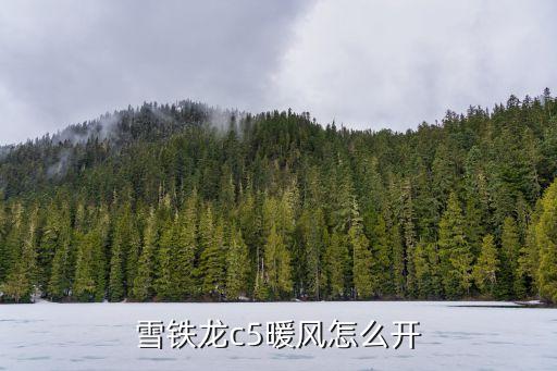 雪铁龙c5暖风怎么开