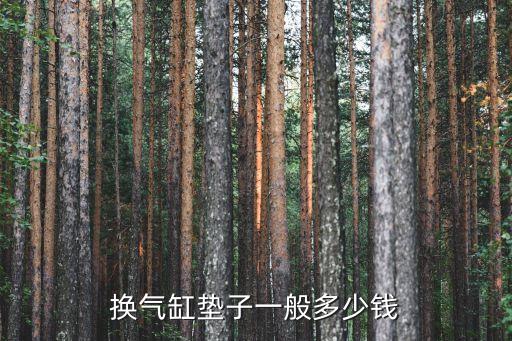 换气缸垫子一般多少钱