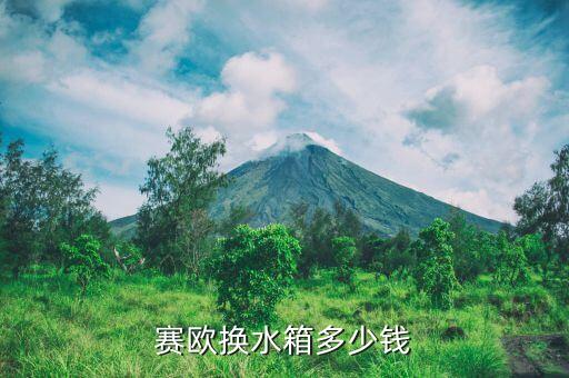 赛欧换水箱多少钱