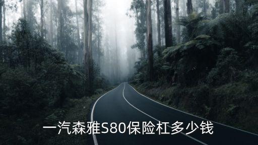 森雅保险杠多少钱，一汽吉林森雅s80前保险杠多少钱