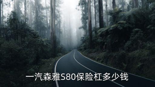 森雅保险杠多少钱，一汽吉林森雅s80前保险杠多少钱