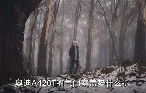 奥迪A420T的气门室盖垫什么拆