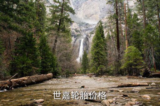 世嘉轮胎价格
