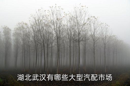 湖北武汉有哪些大型汽配市场