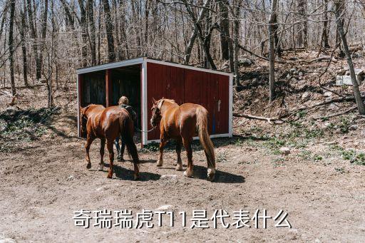 奇瑞瑞虎T11是代表什么