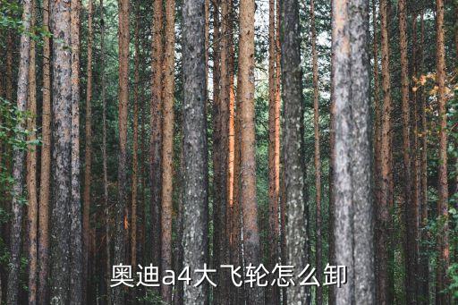 奥迪a4大飞轮怎么卸