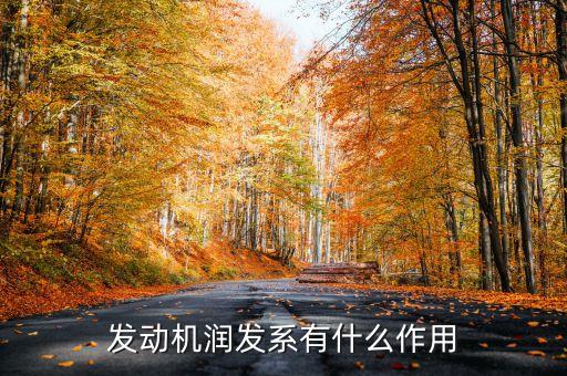 发动机润滑细主要有什么作用，发动机润滑系的主要作用