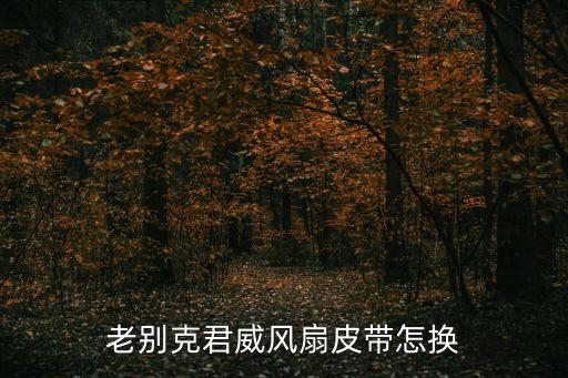汽车风扇皮带在哪里，汽油瑞风的风扇皮带更换方式
