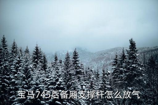 宝马745后备厢支撑杆怎么放气