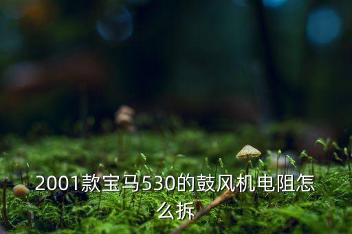 2001款宝马530的鼓风机电阻怎么拆