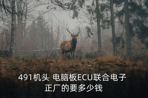 491机头 电脑板ECU联合电子 正厂的要多少钱