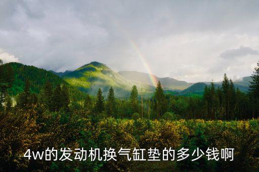 4w的发动机换气缸垫的多少钱啊