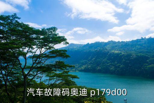 汽车故障码奥迪 p179d00