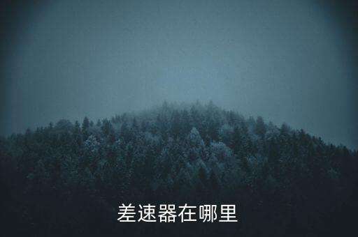 差速器在哪里