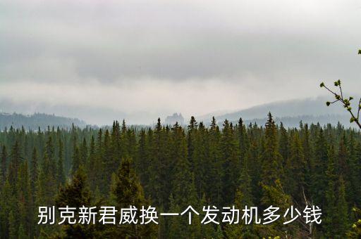 别克新君威换一个发动机多少钱