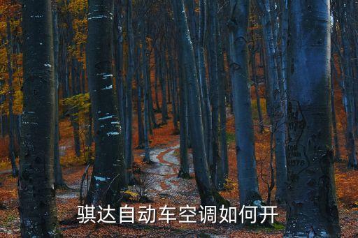 骐达车怎么开空调，骐达高配里面的空调咋用