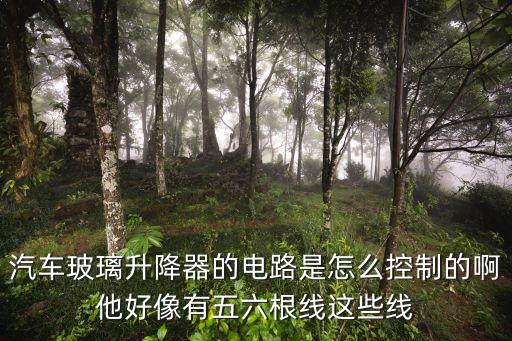 汽车玻璃升降器的电路是怎么控制的啊他好像有五六根线这些线