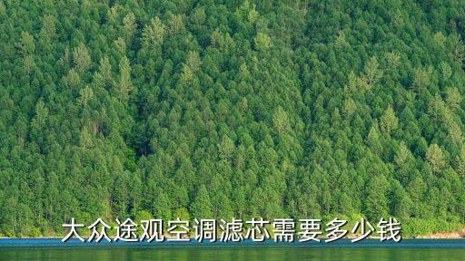 大众途观空调滤芯需要多少钱