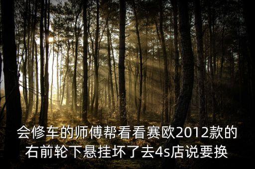 会修车的师傅帮看看赛欧2012款的右前轮下悬挂坏了去4s店说要换