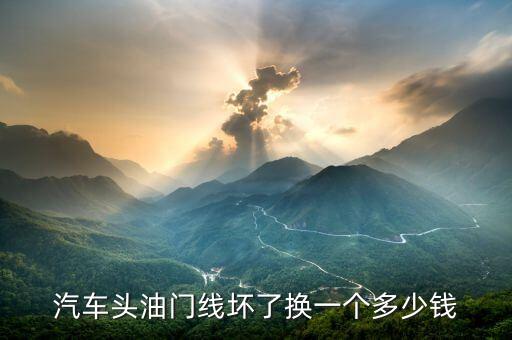 汽车油门线多少钱，汽车油门线掉了修一下要多少钱