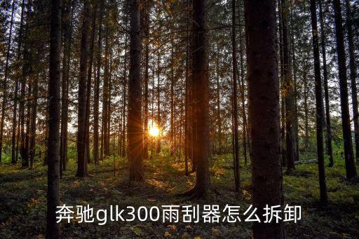 奔驰glk300换雨刮片多少钱，梅赛德斯奔驰glk300后挡风玻璃换一块大概多少钱
