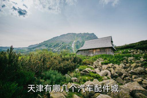 天津有哪几个汽车配件城