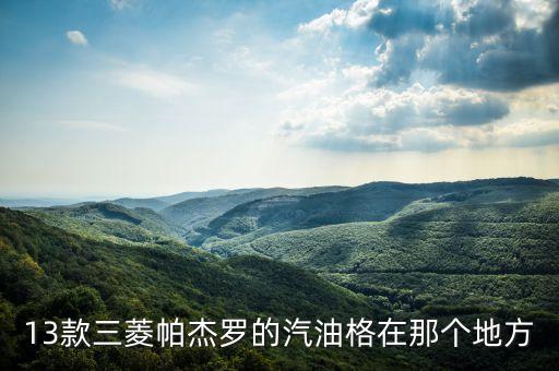 13款三菱帕杰罗的汽油格在那个地方
