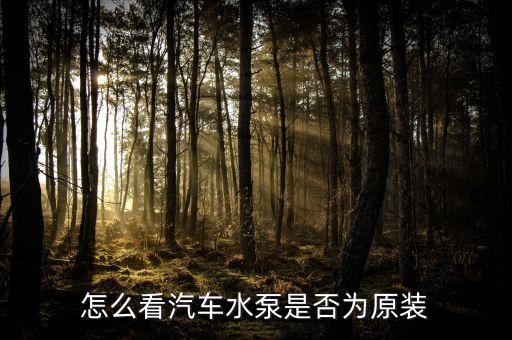 怎么看汽车水泵是否为原装