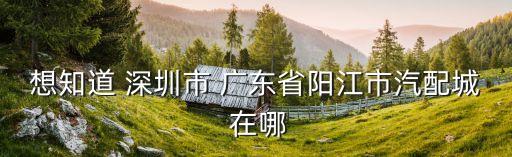 阳江解放汽配城在哪里，阳江市汽配市场 在什么地方呢