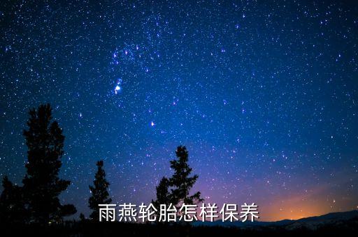雨燕轮胎怎样保养