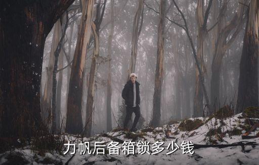 后备箱锁 多少钱，大船摩托的后箱锁多少钱一个