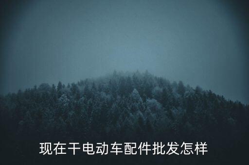 现在干电动车配件批发怎样