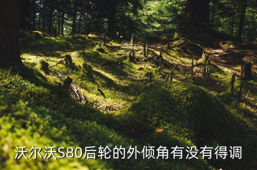 沃尔沃S80后轮的外倾角有没有得调