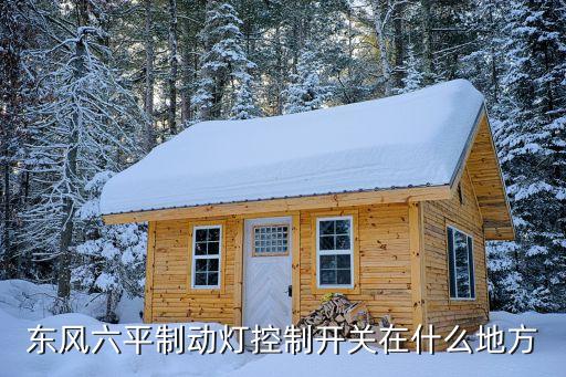 东风六平制动灯控制开关在什么地方