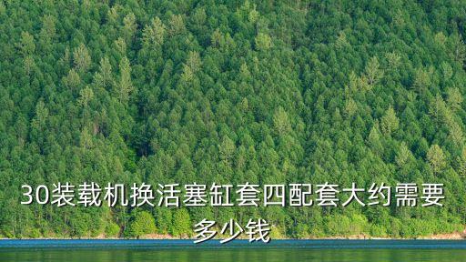 30装载机换活塞缸套四配套大约需要多少钱