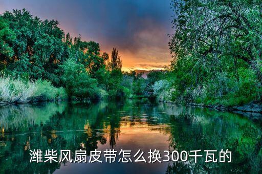 潍柴风扇皮带怎么换300千瓦的