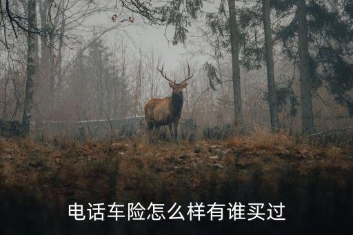 电话车险怎么样有谁买过