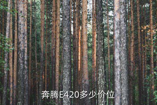 奔腾E420多少价位
