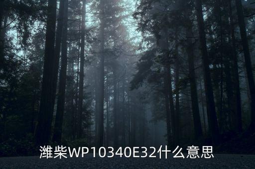 什么叫做潍柴egr发动机，潍柴WP10340E32什么意思