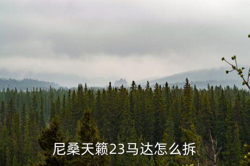 尼桑天籁23马达怎么拆