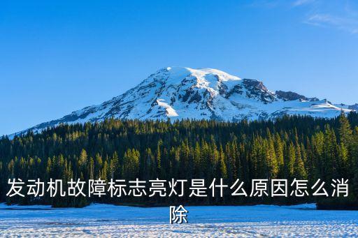 发动机故障标志亮灯是什么原因怎么消除