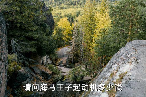 海马汽车马达多少钱，2010款海马骑士7启动马达要多少钱