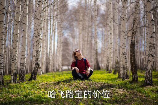 哈飞路宝的价位
