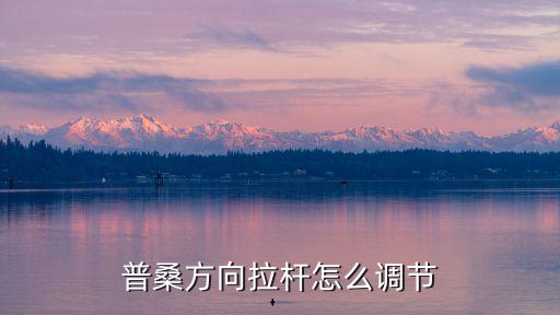 方向机拉杆怎么调节，贵州青年莲花L5汽车转向拉杆怎么调整
