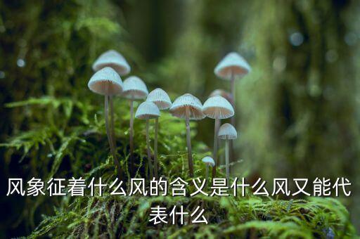风象征着什么风的含义是什么风又能代表什么