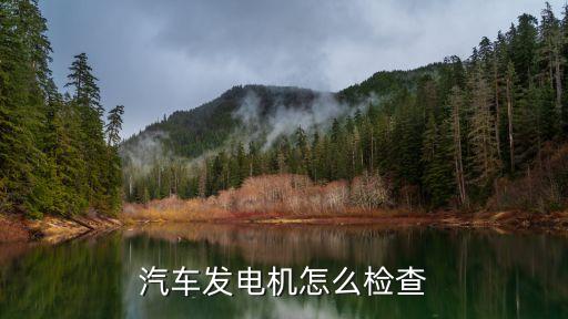汽车发电机怎么检查