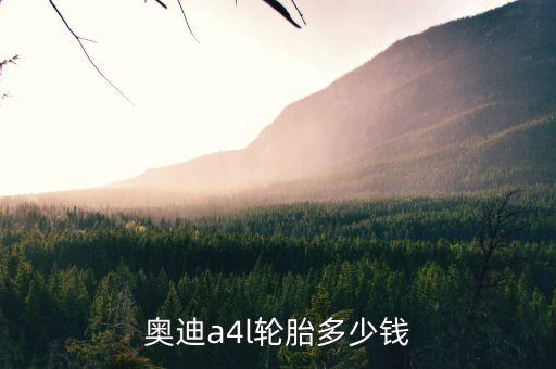 奥迪a4l轮胎多少钱