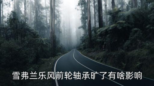 雪弗兰乐风前轮轴承旷了有啥影响